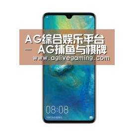 华为无线快充手机