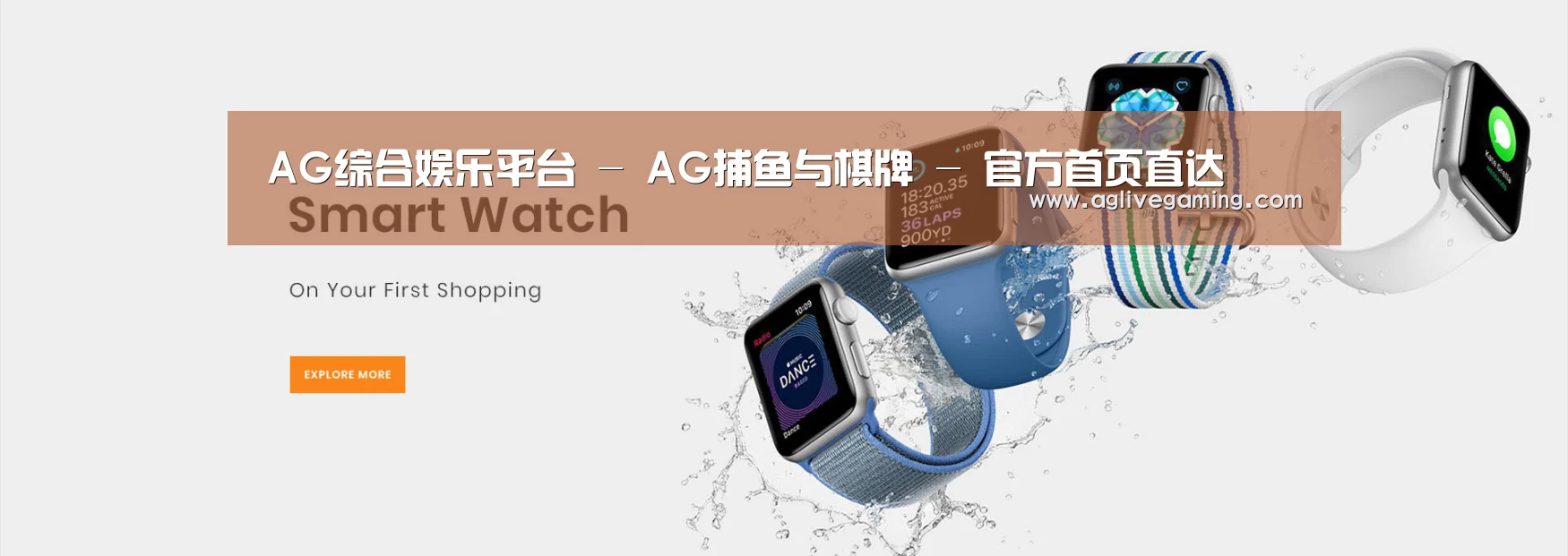 某某网络科技有限公司