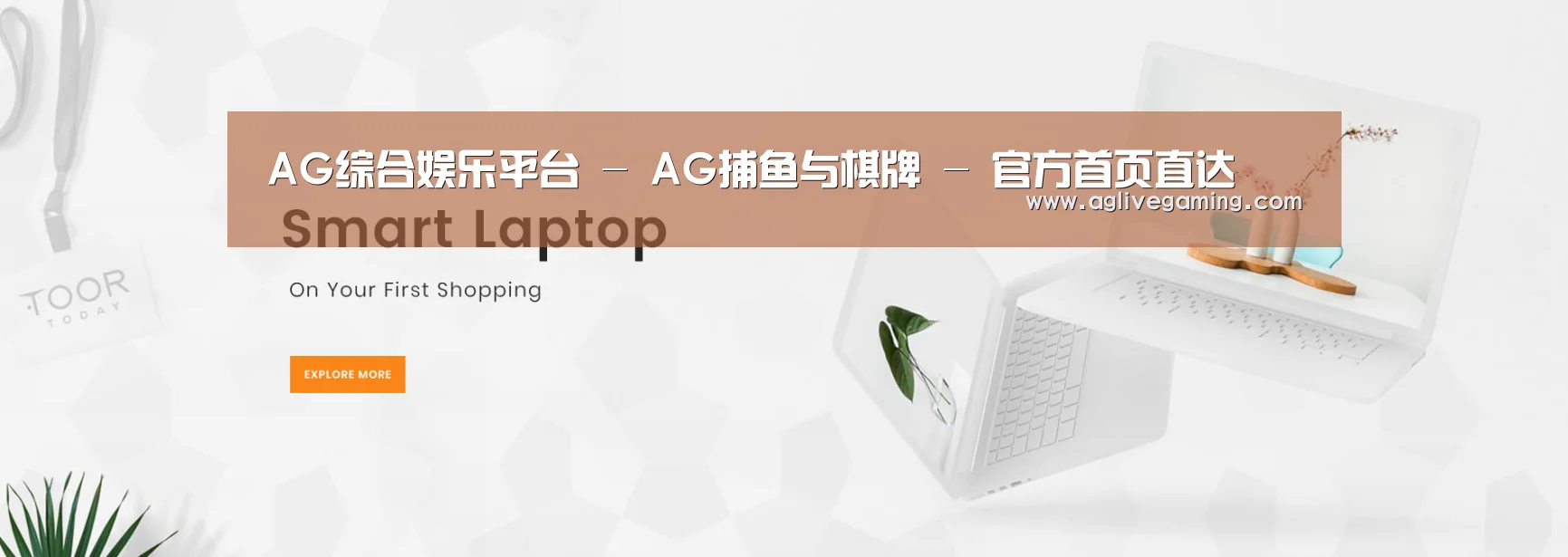 某某网络科技有限公司