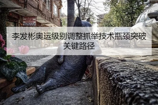 李发彬奥运级别调整抓举技术瓶颈突破关键路径