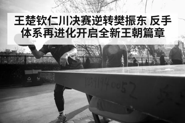 Fan Zhendong table tennis