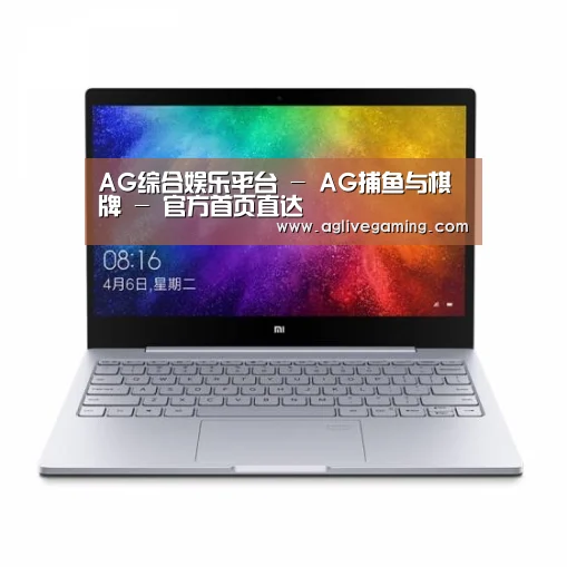 小米笔记本Air 13.3(图1)